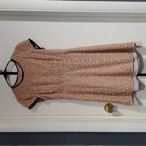Ann Taylor Loft pink lace short sleeve dress